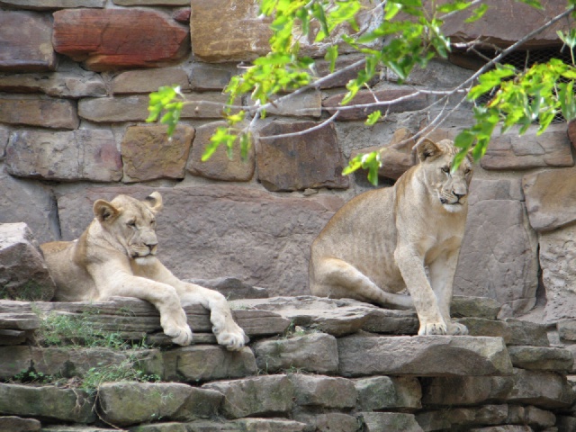20100206 504.JPG